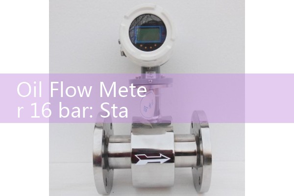Oil Flow Meter 16 bar: Standard Industrial Piping Specifications and Layouts